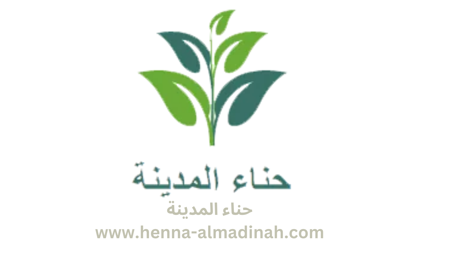 متجر حناء المدينة