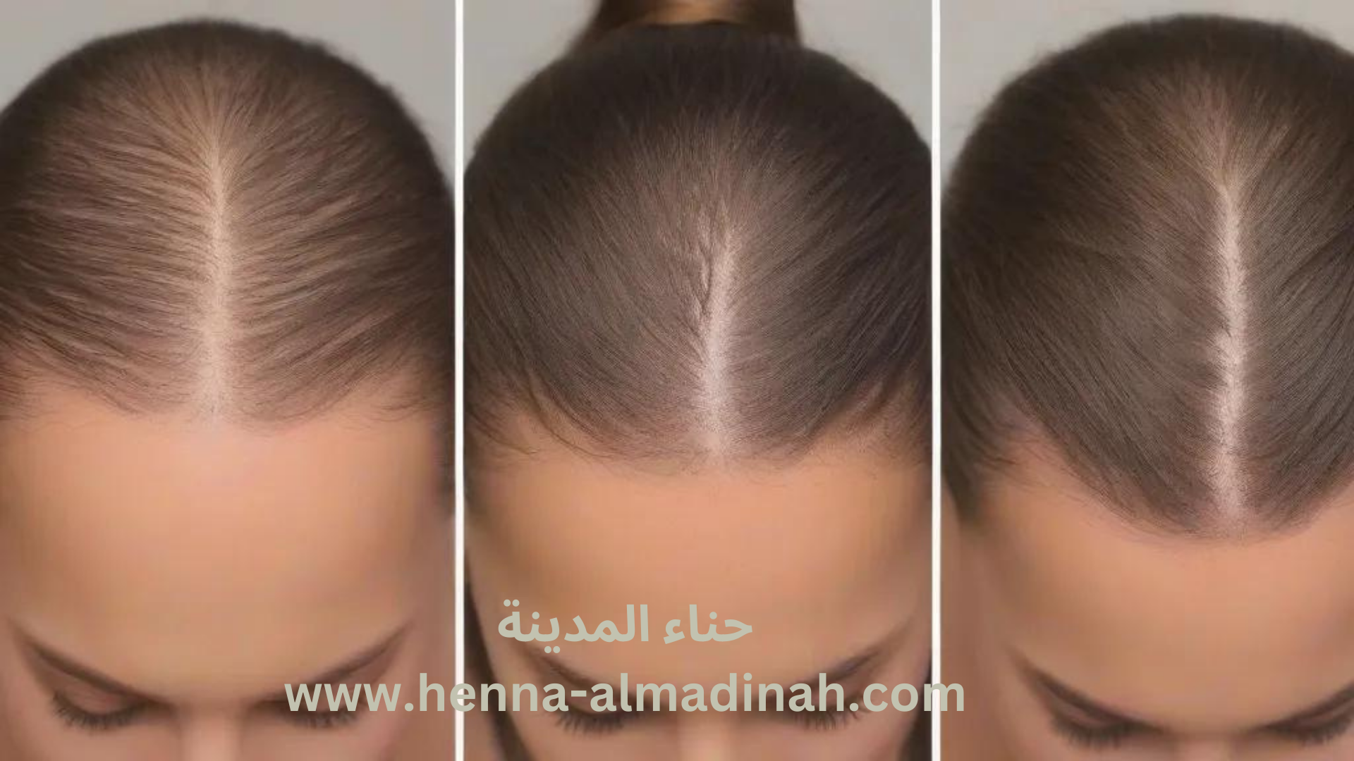 اكليل الجبل (الروزماري)